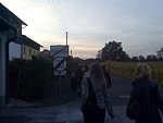 Erdei05.jpg