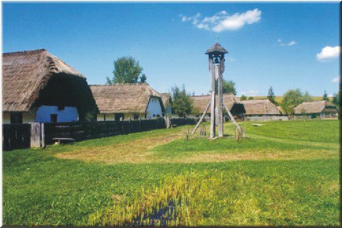 41szenna2.jpg